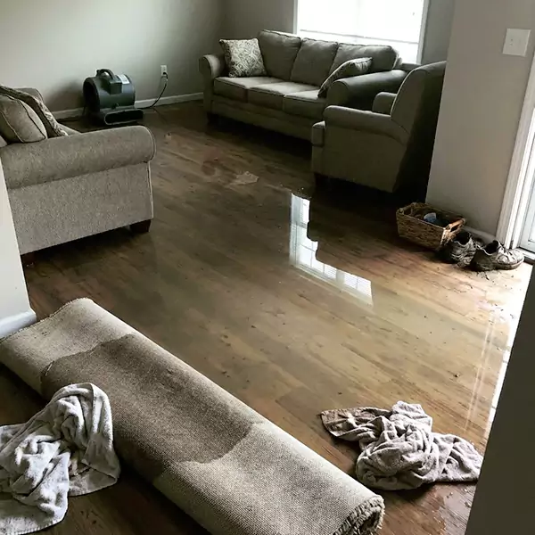 Flood Restoration in Watsonville, CA