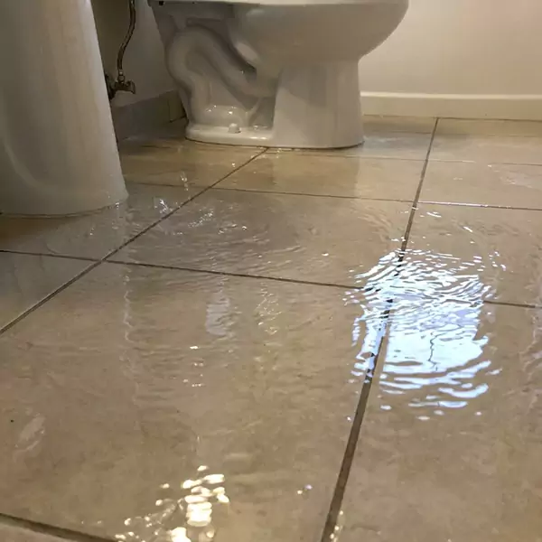 Expert Flooded Bathroom Restoration in Watsonville, CA 