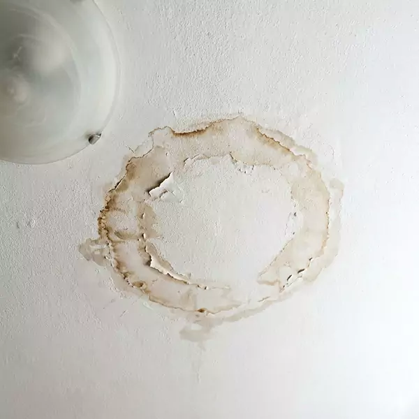 Leaking Ceiling Repair in Watsonville, CA 