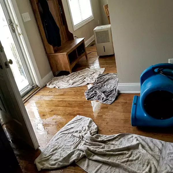 Water Mitigation in Watsonville, CA