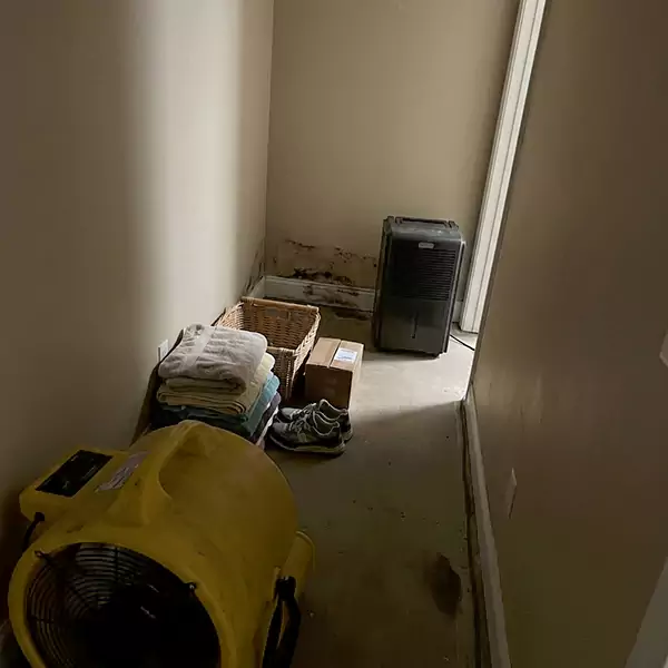 Expert Water Remediation in Watsonville, CA 