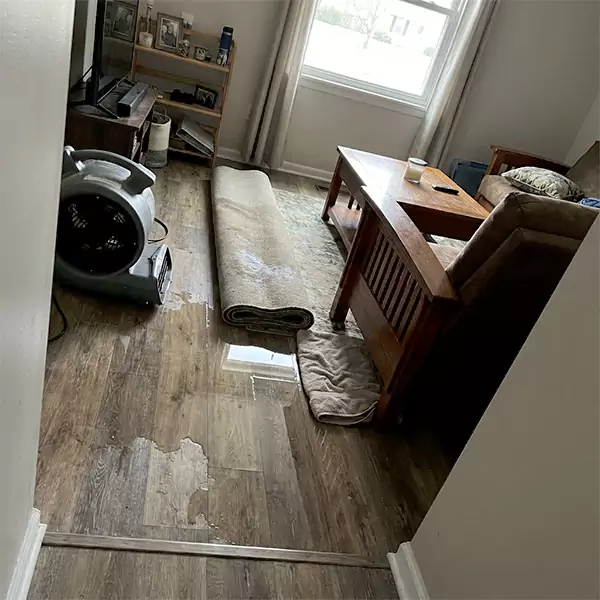 Water Restoration in Watsonville, CA