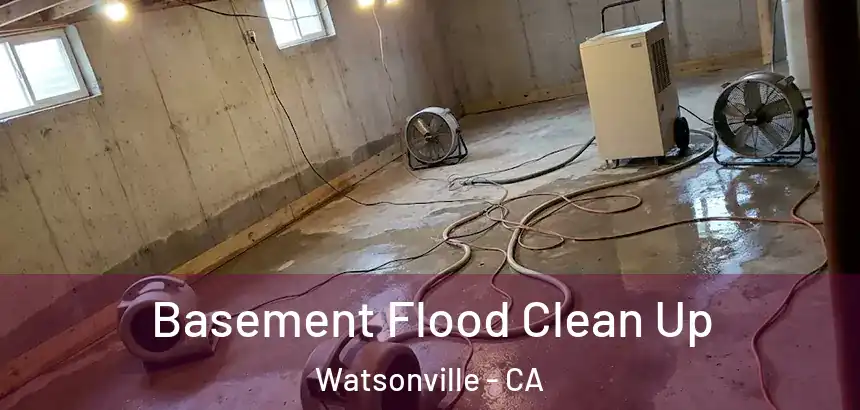  Basement Flood Clean Up Watsonville - CA