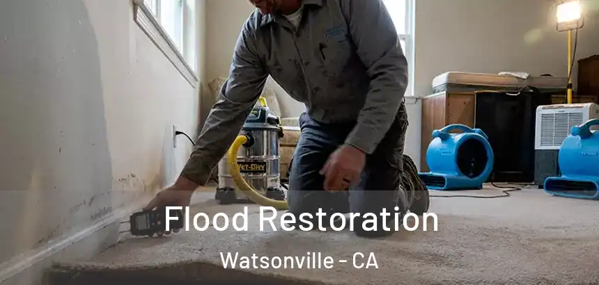  Flood Restoration Watsonville - CA