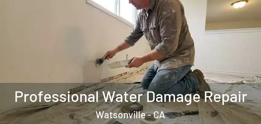  Professional Water Damage Repair Watsonville - CA