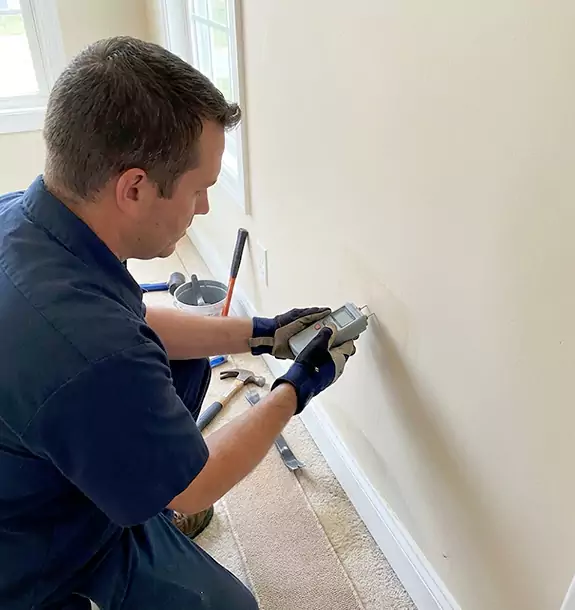 Your Trusted Water Mitigation Company in Watsonville, CA