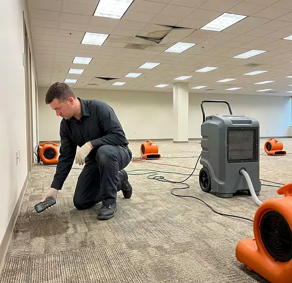 Why Businesses Choose Watsonville Water Damage Experts for Commercial Water Damage in Watsonville, CA?