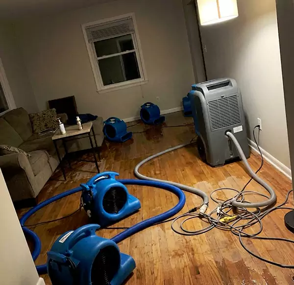 Why Homeowners & Businesses Choose Watsonville Water Damage Experts for Emergency Water Restoration in Watsonville, CA?