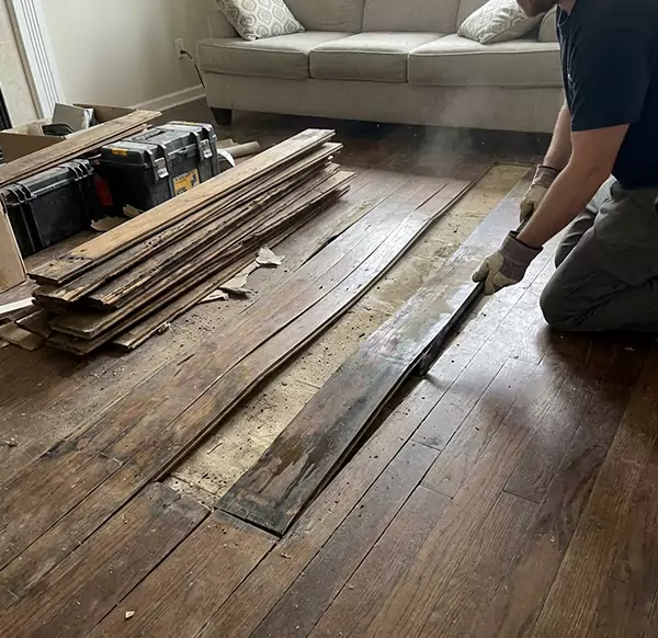 Why Choose Watsonville Water Damage Experts for Wood Floor Water Damage Repair in Watsonville, CA?