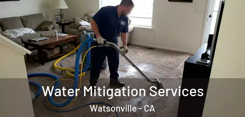  Water Mitigation Services Watsonville - CA