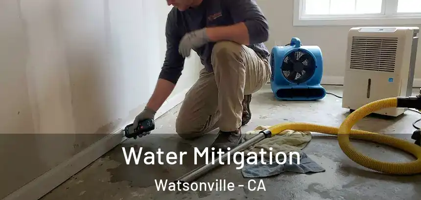 Water Mitigation Watsonville - CA